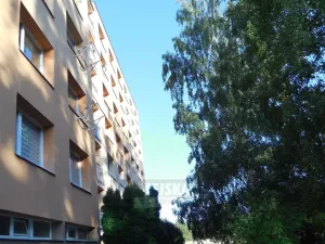 Prodej bytu 1+1, Prachatice - Prachatice II, Italská, 45 m2