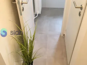 Pronájem bytu 2+1, Ostrava - Hrabůvka, Mitušova, 55 m2