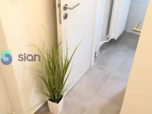 Pronájem bytu 2+1, Ostrava - Hrabůvka, Mitušova, 55 m2