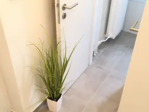 Pronájem bytu 2+1, Ostrava - Hrabůvka, Mitušova, 55 m2