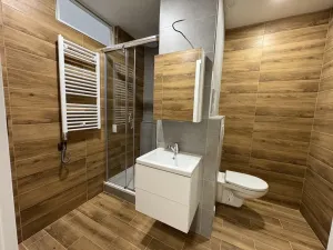 Pronájem bytu 1+1, Zábřeh, Severovýchod, 32 m2