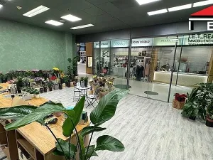 Pronájem obchodního prostoru, Brno, náměstí Svobody, 64 m2