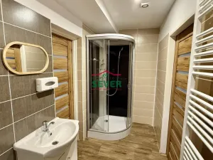 Prodej rodinného domu, Louny - Nečichy, 220 m2