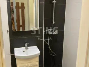 Pronájem bytu 1+kk, Ostrava, Krakovská, 22 m2