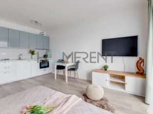 Pronájem bytu 1+kk, Brandýs nad Labem-Stará Boleslav - Stará Boleslav, Josefa Truhláře, 31 m2