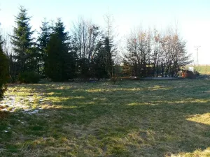 Prodej rodinného domu, Rohov, Slezská, 190 m2