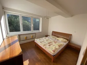 Pronájem bytu 5+kk, Liberec, Wintrova, 150 m2