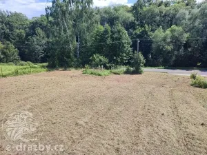 Dražba pozemku pro bydlení, Bruzovice, 11054 m2