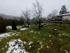 Prodej pozemku pro bydlení, Ostrava, Obecní, 1119 m2