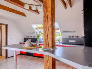 Pronájem bytu 3+kk, Frýdek-Místek - Frýdek, Jaroslava Haška, 66 m2