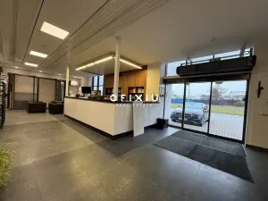 Pronájem obchodního prostoru, Brno, Heršpická, 367 m2