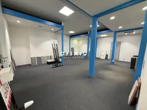 Pronájem obchodního prostoru, Brno, Heršpická, 367 m2