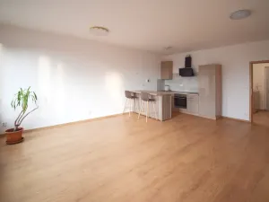 Pronájem bytu 2+kk, Plzeň - Jižní Předměstí, Boettingerova, 60 m2