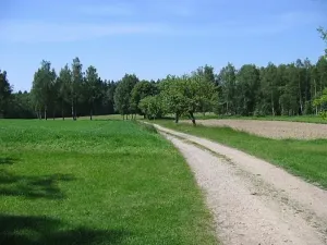 Prodej rodinného domu, Pluhův Žďár, 447 m2