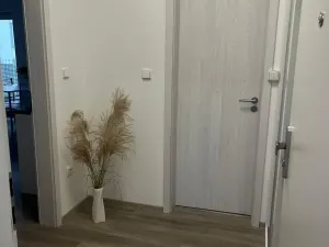 Pronájem bytu 2+kk, Rožnov pod Radhoštěm, Písečná, 48 m2