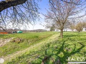 Prodej zemědělské usedlosti, Hřibojedy, 112 m2