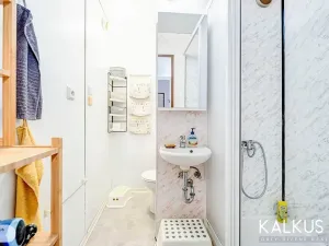 Prodej bytu 3+kk, Hradec Králové, Durychova, 59 m2