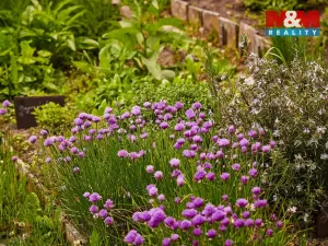 Prodej chalupy, Volfartice, 179 m2