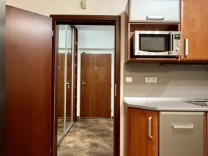 Pronájem bytu 1+kk, Praha - Zličín, Sazovická, 25 m2