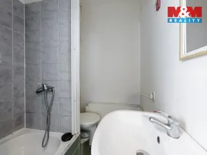 Prodej bytu 1+kk, Bukovany, 21 m2