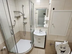 Pronájem bytu 2+1, Lovosice, Osvoboditelů, 54 m2