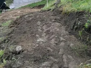 Prodej zahrady, Vysoké nad Jizerou - Stará Ves, Stará ves, 430 m2