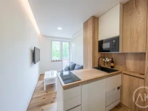 Pronájem bytu 1+kk, Opava - Předměstí, Haškova, 17 m2