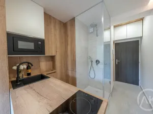 Pronájem bytu 1+kk, Opava - Předměstí, Haškova, 17 m2