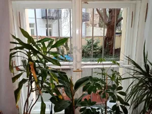 Prodej bytu 2+1, Praha - Bubeneč, Korunovační, 51 m2