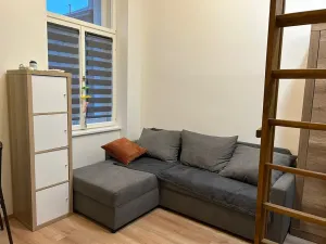 Pronájem bytu 1+kk, Praha - Nové Město, Sokolská, 23 m2