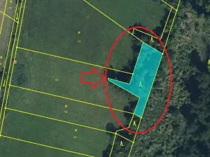 Prodej lesa, Hořiněves, 1080 m2