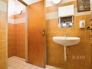 Prodej obchodního prostoru, Ústí nad Labem, Pod Parkem, 85 m2