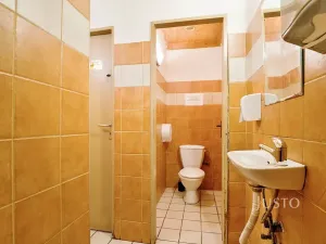 Prodej obchodního prostoru, Ústí nad Labem, Pod Parkem, 85 m2