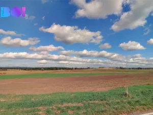 Prodej pole, Vacenovice, 6305 m2