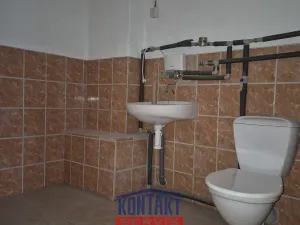 Pronájem skladu, České Budějovice, Rudolfovská tř., 216 m2