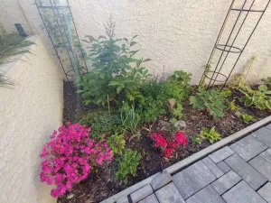 Prodej bytu 2+1, Kamenický Šenov, Palackého, 56 m2