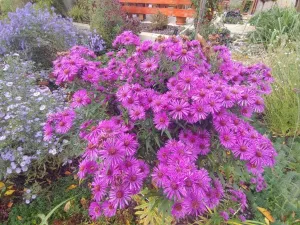 Prodej bytu 2+1, Kamenický Šenov, Palackého, 56 m2