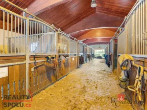 Prodej - jiné, Nučice, 2093 m2