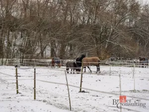 Prodej - jiné, Nučice, 2093 m2
