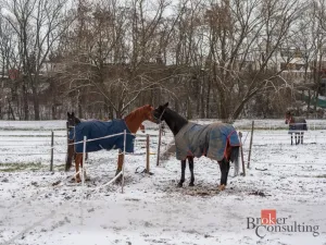 Prodej - jiné, Nučice, 2093 m2