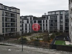 Pronájem bytu 3+kk, Ostrava, F. X. Riepla, 87 m2