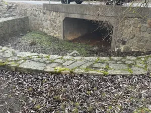 Prodej rybníku, Častrov, Častrov, 48 m2