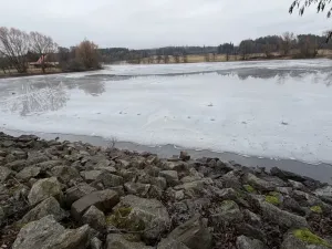 Prodej rybníku, Častrov, Častrov, 48 m2