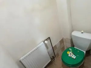 Pronájem bytu 1+1, Chabařovice, 40 m2