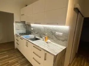 Pronájem bytu 2+1, Olomouc - Klášterní Hradisko, Černá cesta, 56 m2