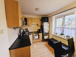 Pronájem bytu 1+1, Dubňany, Hornická, 30 m2