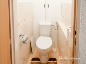 Pronájem bytu 2+1, Brno - Staré Brno, Křídlovická, 53 m2