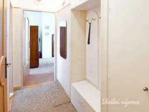 Pronájem bytu 2+1, Brno - Staré Brno, Křídlovická, 53 m2