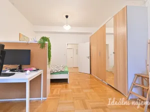 Pronájem bytu 4+kk, Brno, Mezírka, 90 m2