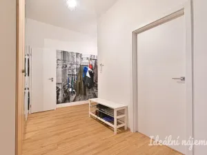Pronájem bytu 4+kk, Brno, Mezírka, 90 m2
